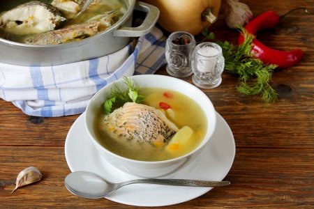 15 grandes recettes de soupe de poisson rouge